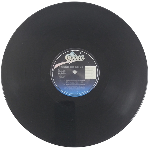 Dead or Alive Something In My House Vinyl - Epic Records 1986 - Picture 4 of 9